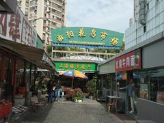 -曲阳花鸟市场(曲阳路店)