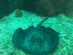 -鸿通城购物中心