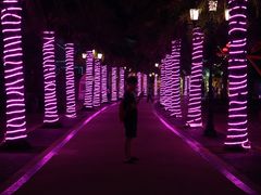 -三亚海昌梦幻海洋不夜城