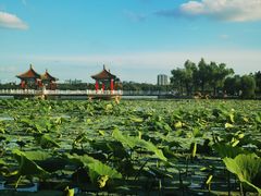 -长春市南湖公园