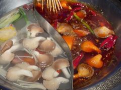 -辣伍鲜毛肚老火锅(元一店)