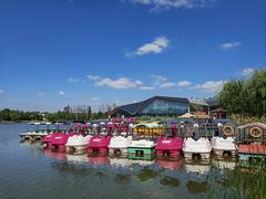 -上海长兴岛郊野公园