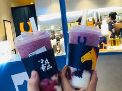 -春丽小马(济南恒隆广场店)