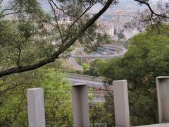 -福道