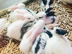 -正佳雨林生态植物园