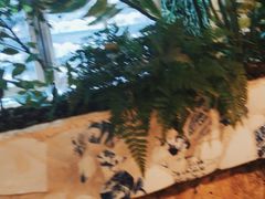 -甲大帅·甲鱼·椰子鸡主题餐厅(唐家店)