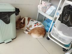 -怪兽屋·羊驼·猫咖·狗咖(俊华广场店)