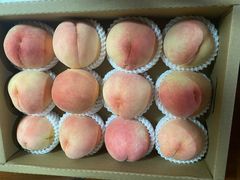 -老袁家蜜桃农场·阳山水蜜桃