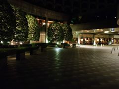 -杭州君悦酒店