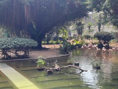 -九龙公园
