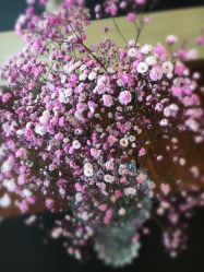 -尚玲纹绣纹眉特价店