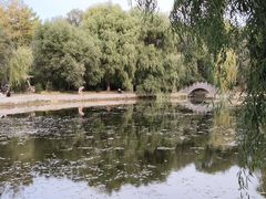 -黑龙江省森林植物园