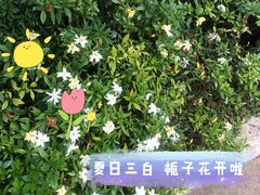 -盒马鲜生(丁香国际店)