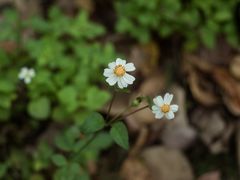 -白石龙音乐公园