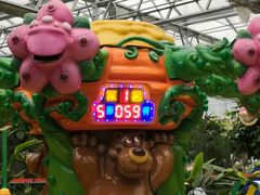 -南宫五洲植物乐园