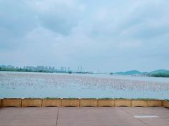 -云龙湖旅游景区