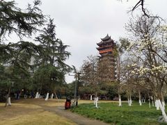 -塔子山公园