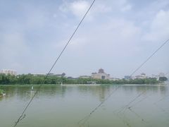 -莲花池公园