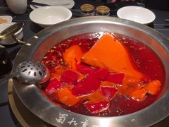 -蜀九香火锅(彩虹店)