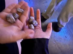 -暴风岛沉浸式体验馆(百联世纪店)