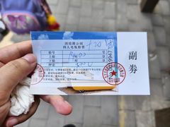 -团结湖公园