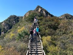 -大岭沟猕猴桃谷风景区