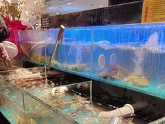 -苏格里岛自助烤肉海鲜火锅(成都金牛万达店)