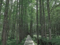 -同里国家湿地公园