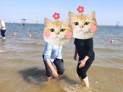 -碧海金沙