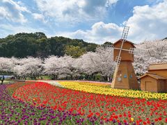 -苏州上方山国家森林公园