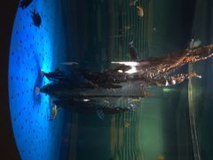 iphone_upload_pic-北戴河圣蓝海洋公园