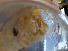 -喜茶(佛山顺德大良东乐路店)