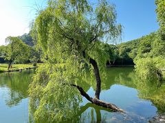 -柯岩风景区