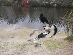 -可伦宾野生动物保护区