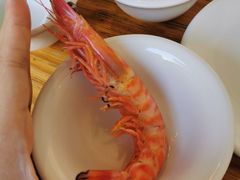 -凯华海鲜火锅·传承三十六年