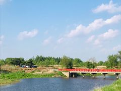 -蒲河岛湿地公园