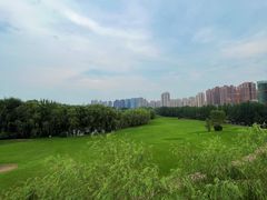 -长白岛森林公园