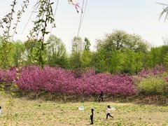 -永定河休闲森林公园