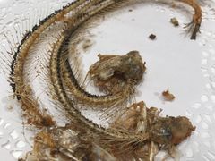 -莆鑫海鲜城(浏河店)