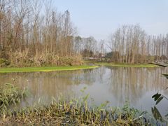 -桤木河湿地公园