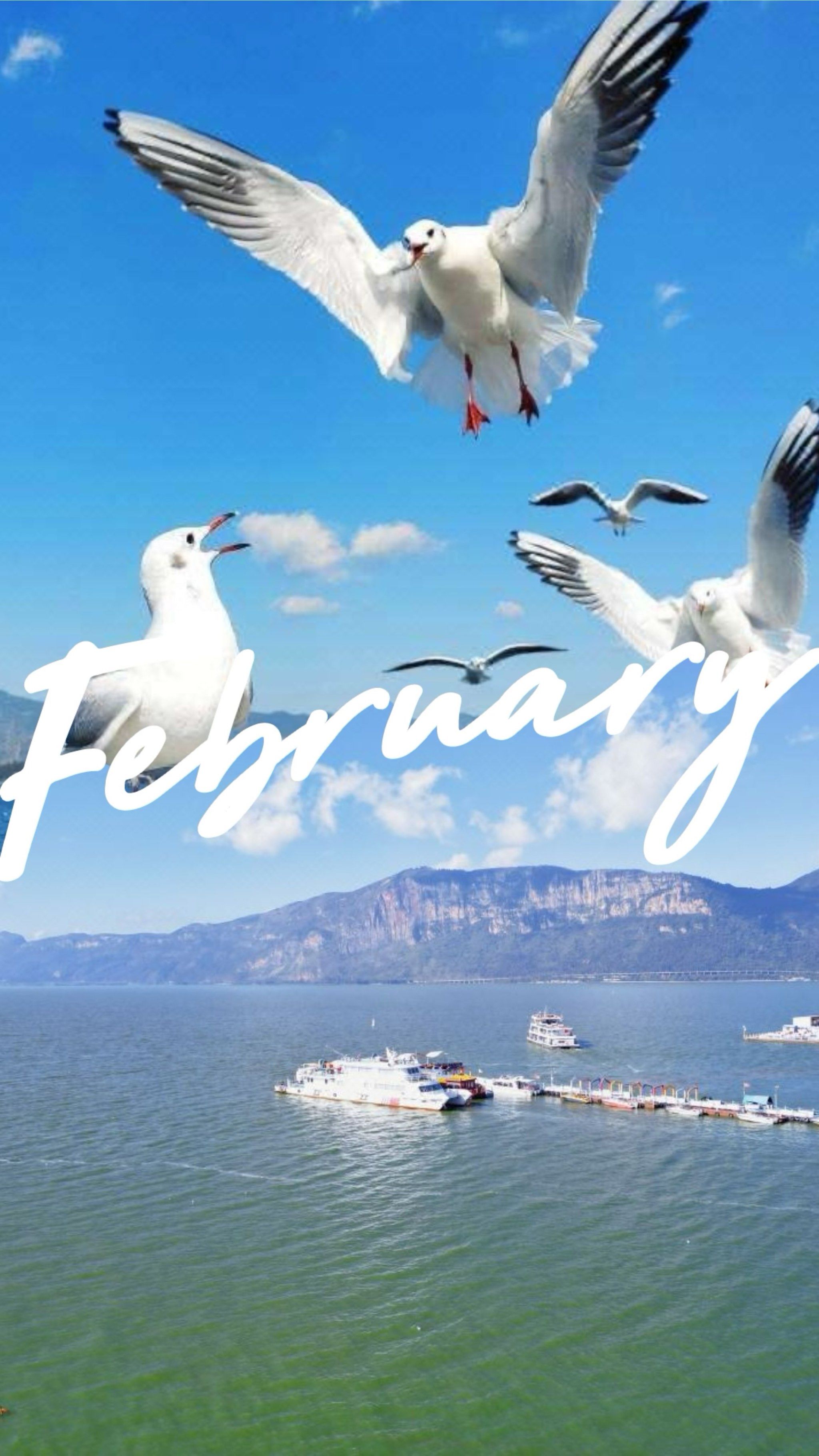 💙昆明滇池一日游超实用攻略💙