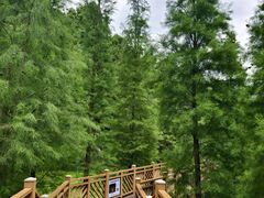 -神光山国家森林公园