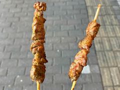 -新疆喀什烤肉饭店(红松路店)