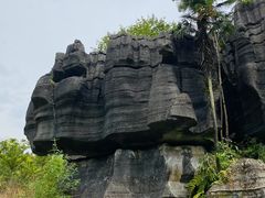 -梭布垭石林景区