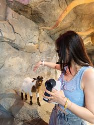 -Zoolung Zoolung动物主题公园(海信广场店)