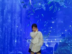 -成都浩海立方海洋公园