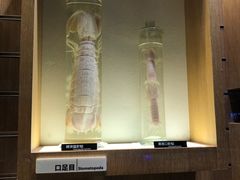 -鲁C·尚小炉·淄博烧烤(市北店)