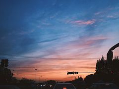 -上海动物园(地铁站)