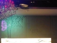-蝴蝶汇音乐酒馆(罗湖店)