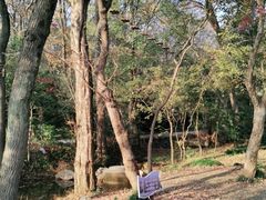 -WeLope紫金山探险公园